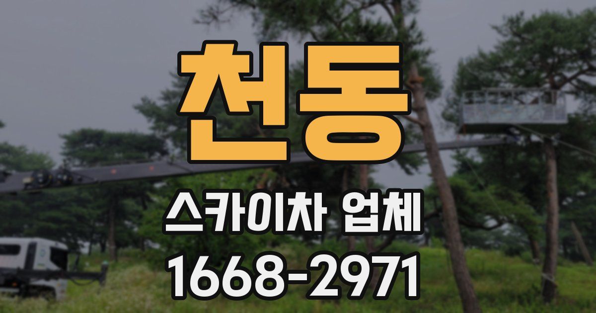 천동 스카이차 업체