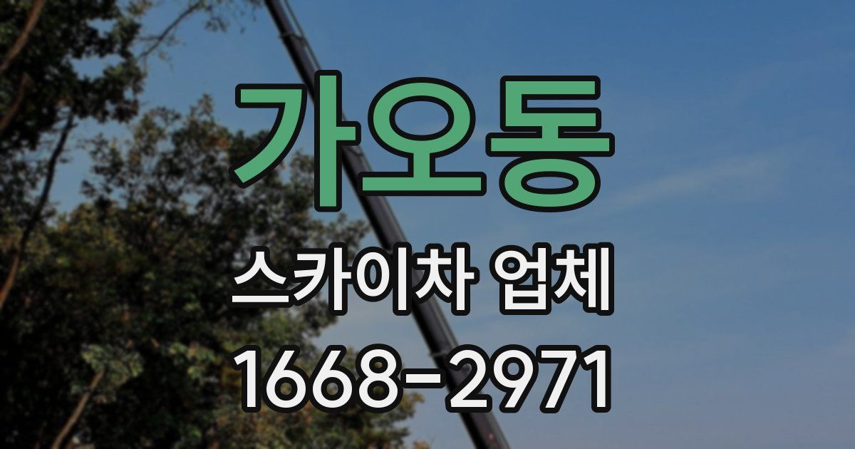 가오동 스카이차 업체