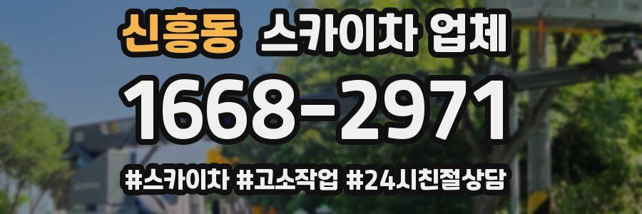 신흥동 스카이차 업체