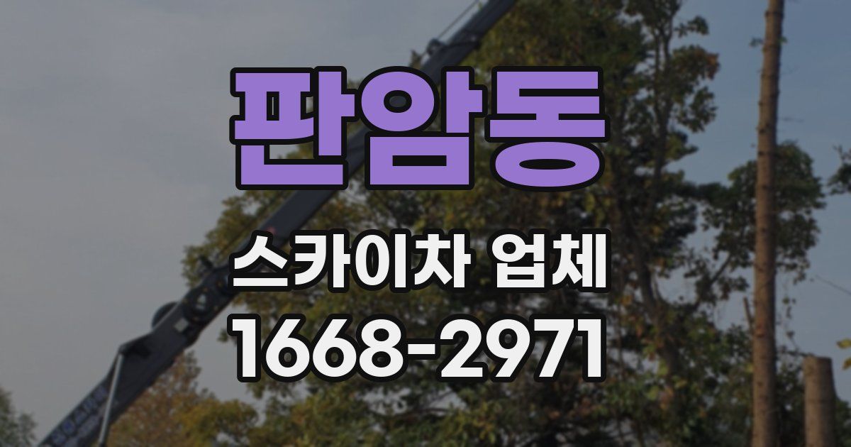 판암동 스카이차 업체