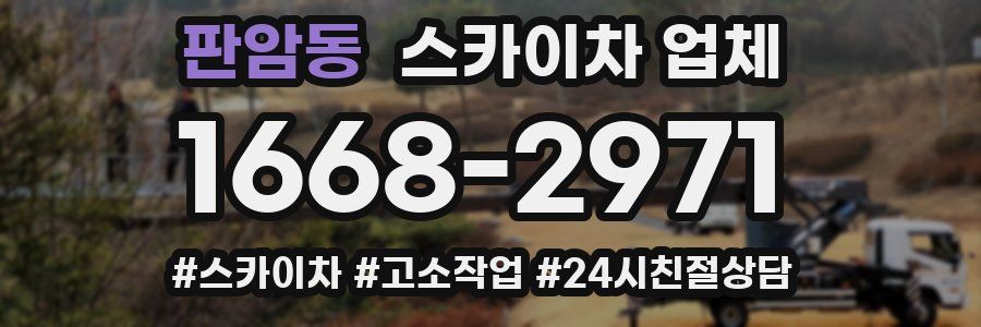 판암동 스카이차 업체