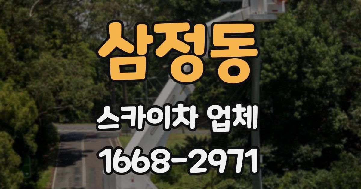 삼정동 스카이차 업체