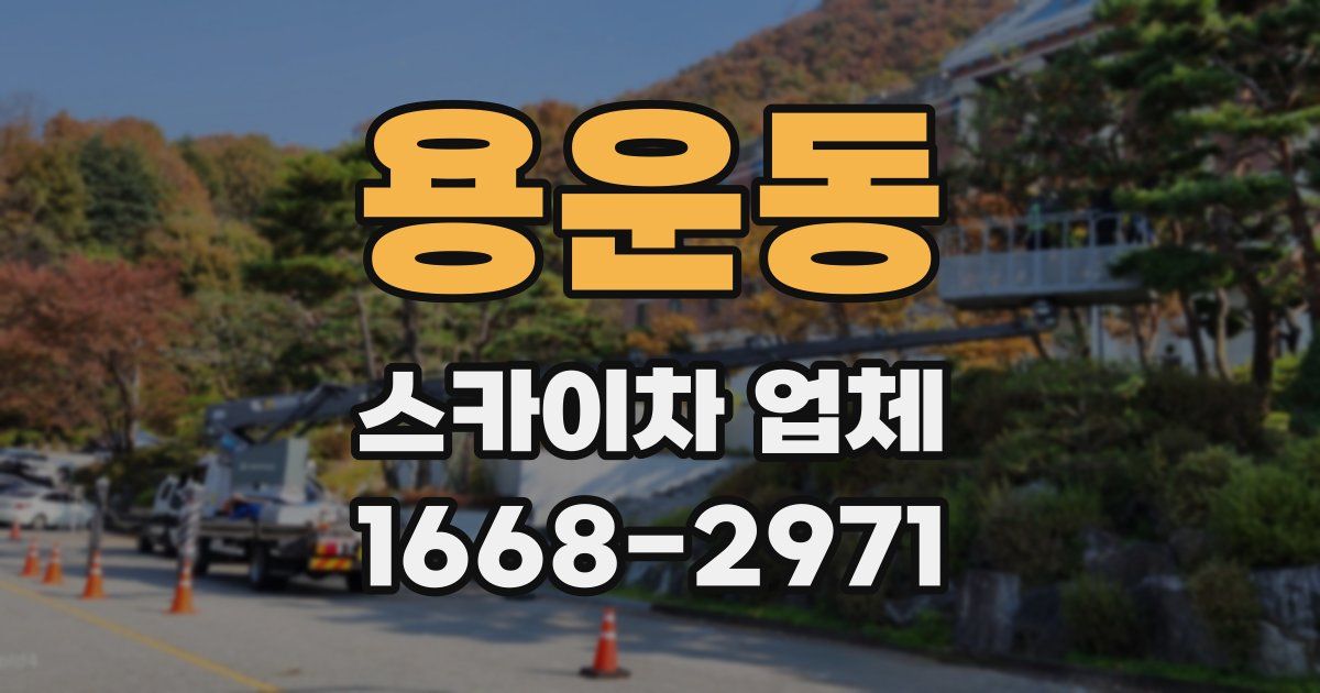 용운동 스카이차 업체