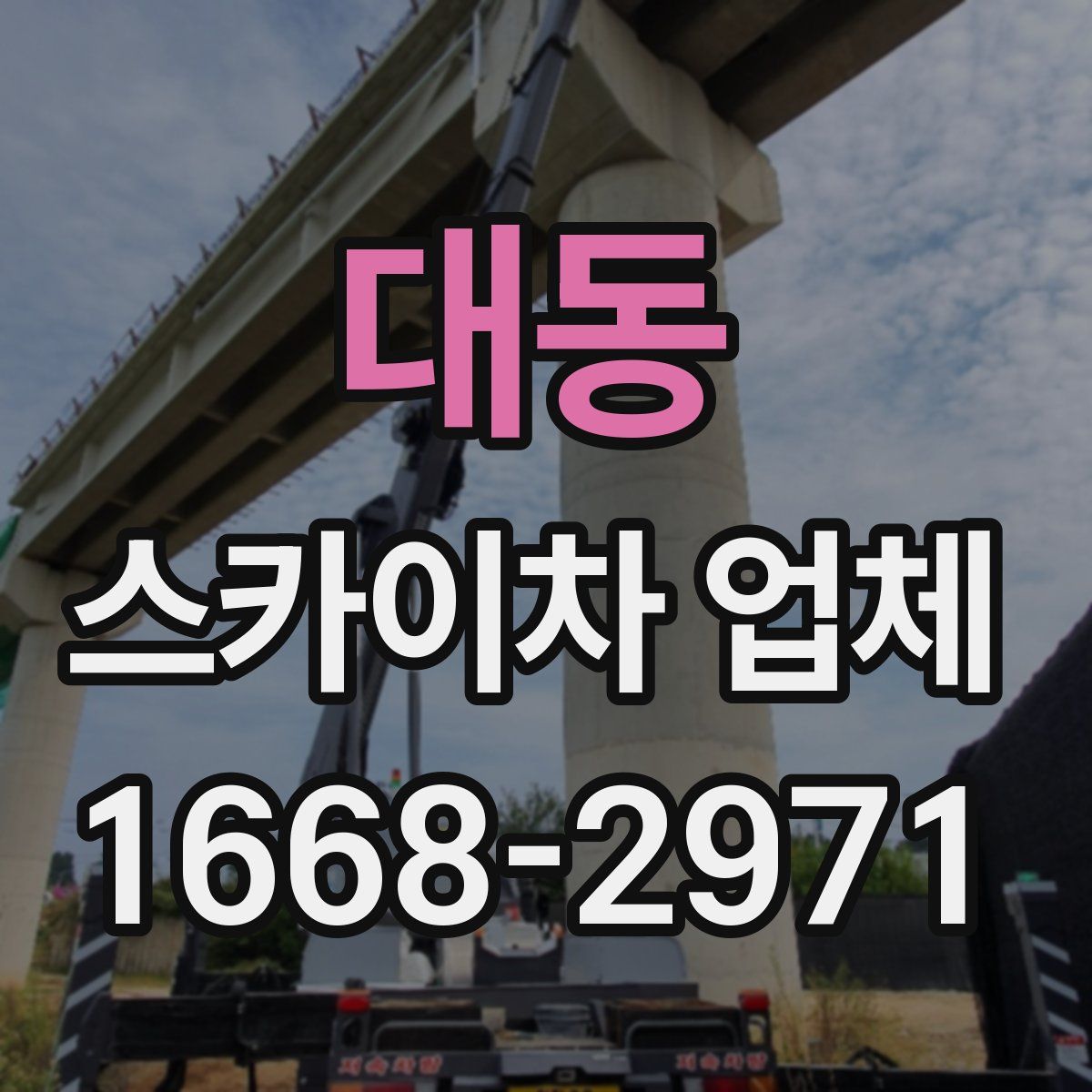 대동 스카이차 업체