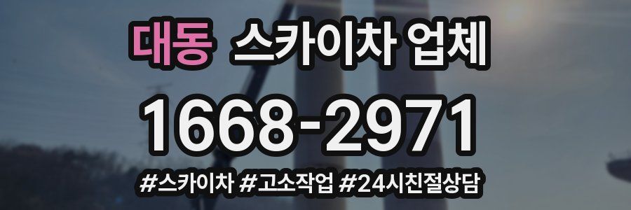 대동 스카이차 업체