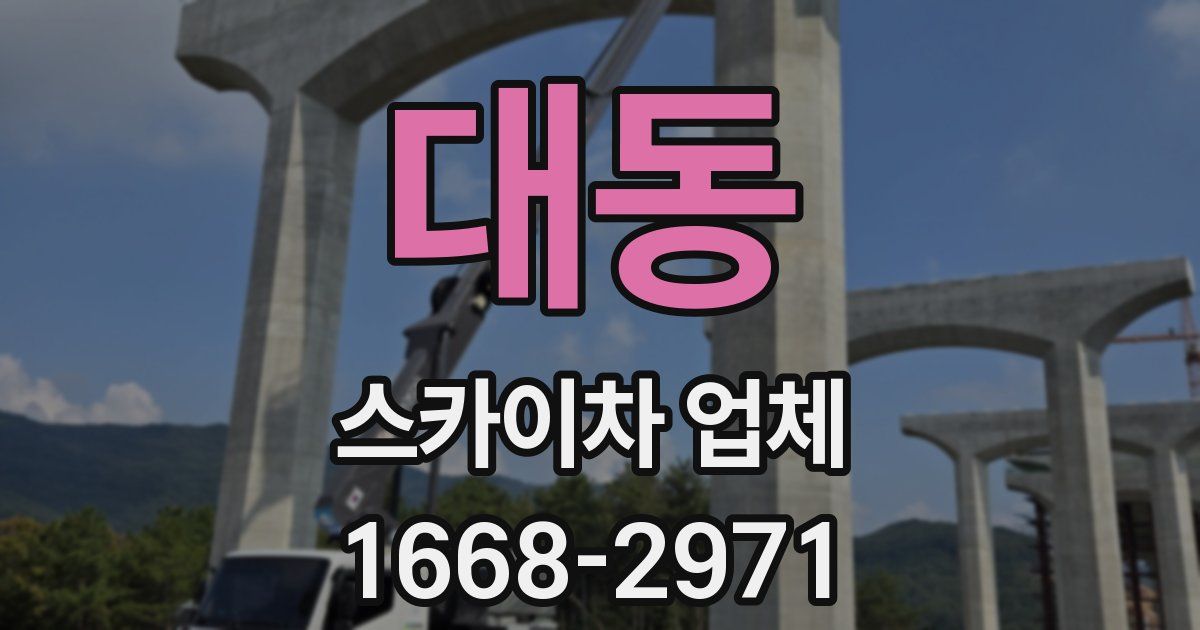 대동 스카이차 업체