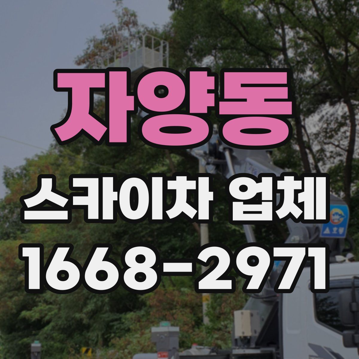 자양동 스카이차 업체