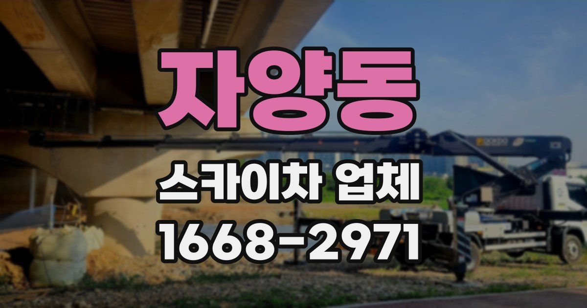 자양동 스카이차 업체