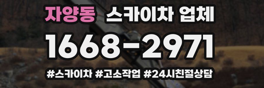 자양동 스카이차 업체