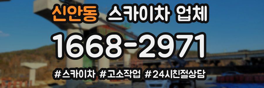 신안동 스카이차 업체