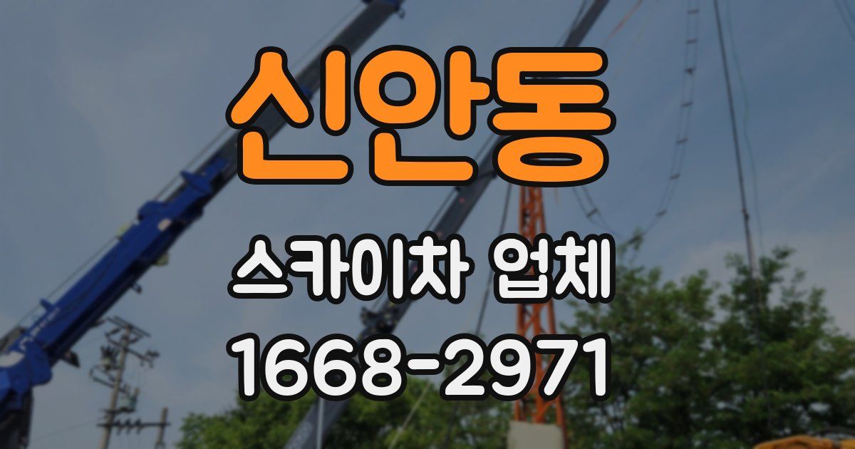 신안동 스카이차 업체