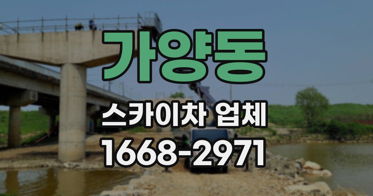 가양동 스카이차 업체