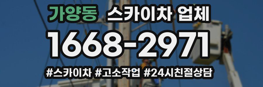 가양동 스카이차 업체