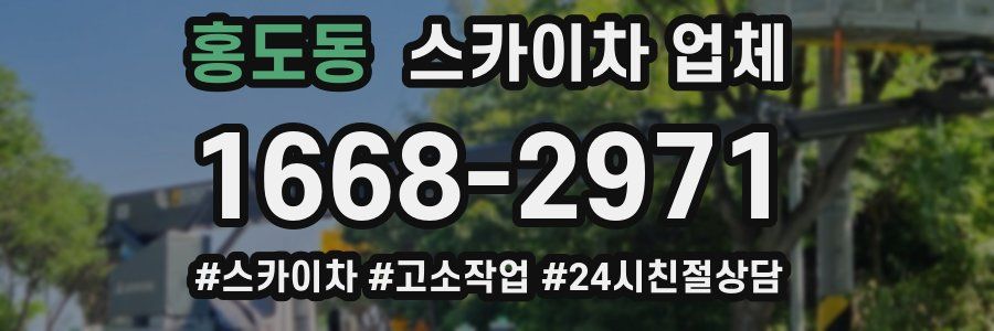 홍도동 스카이차 업체
