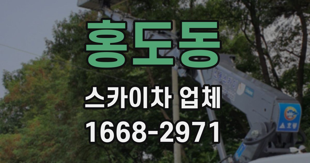 홍도동 스카이차 업체
