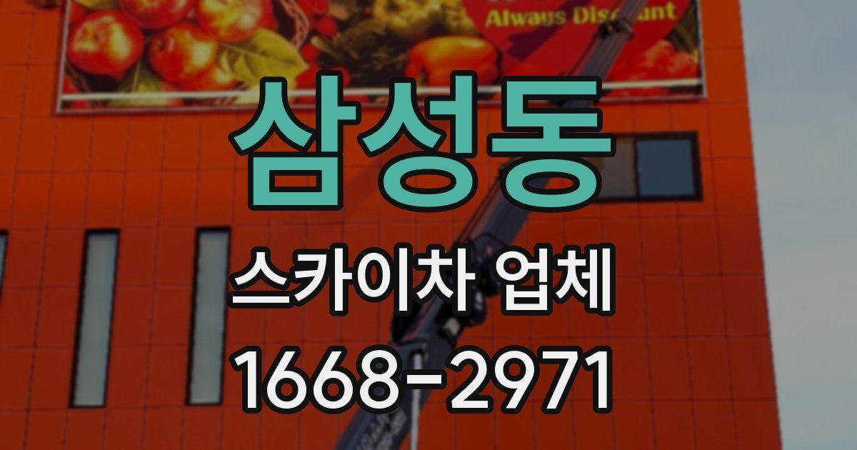 삼성동 스카이차 업체
