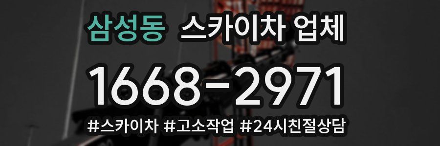 삼성동 스카이차 업체