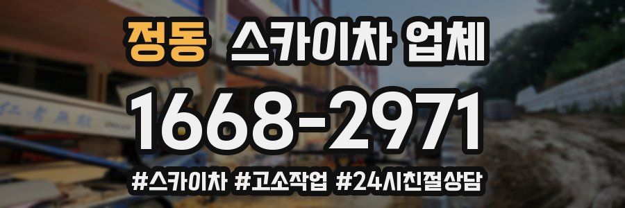 정동 스카이차 업체