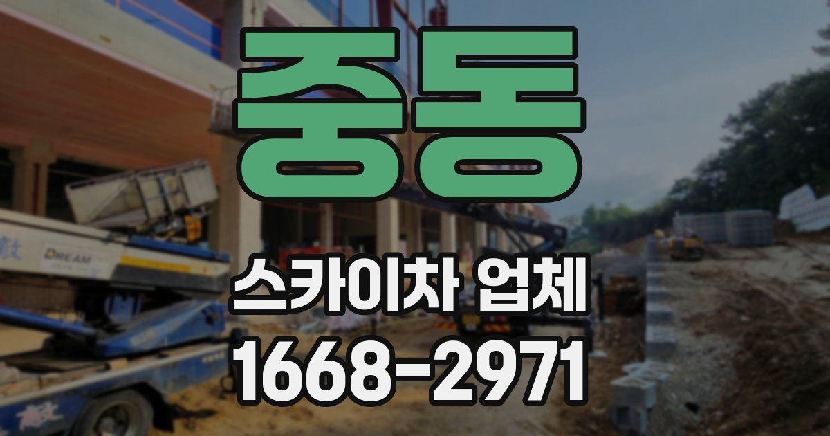 중동 스카이차 업체