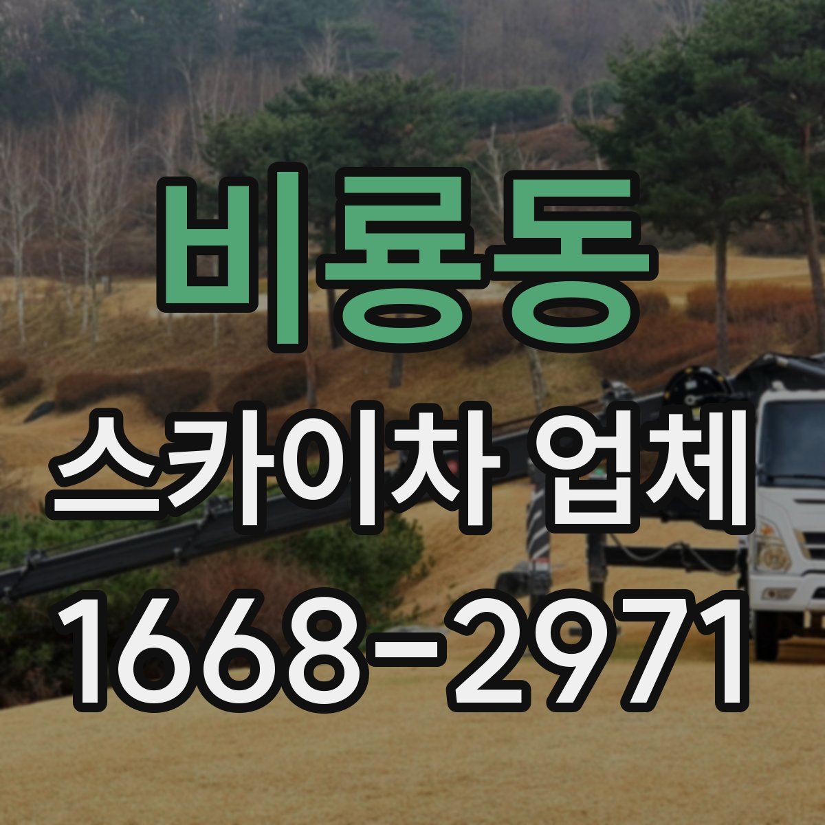 비룡동 스카이차 업체