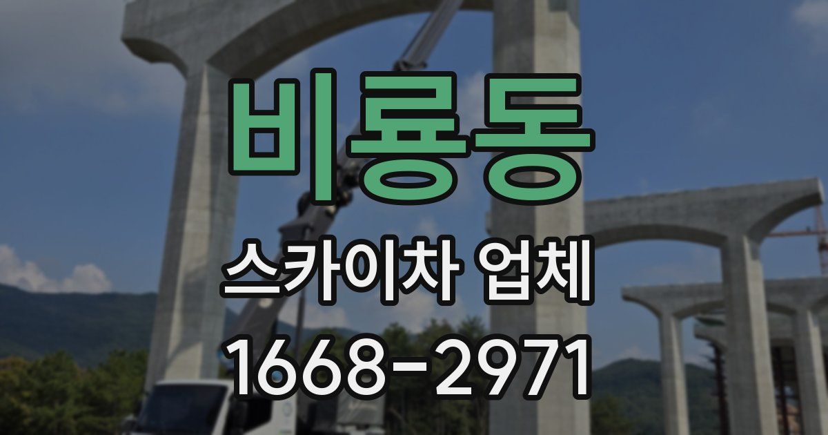 비룡동 스카이차 업체