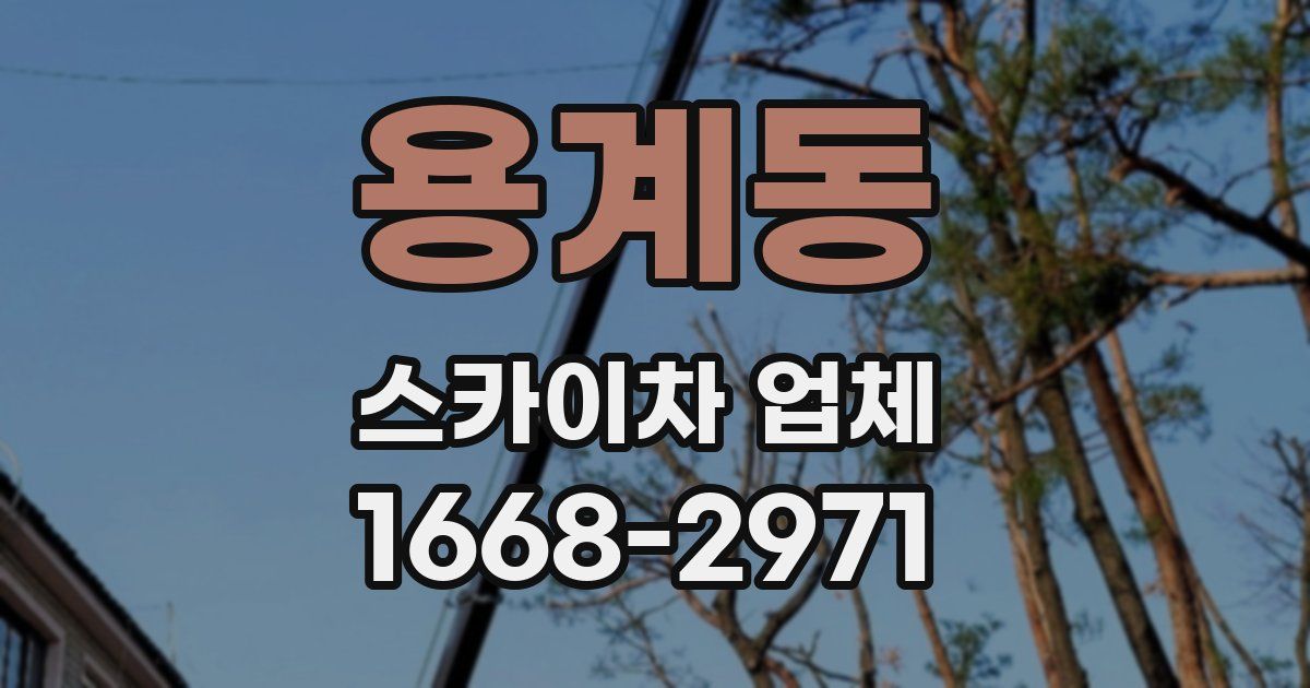 용계동 스카이차 업체