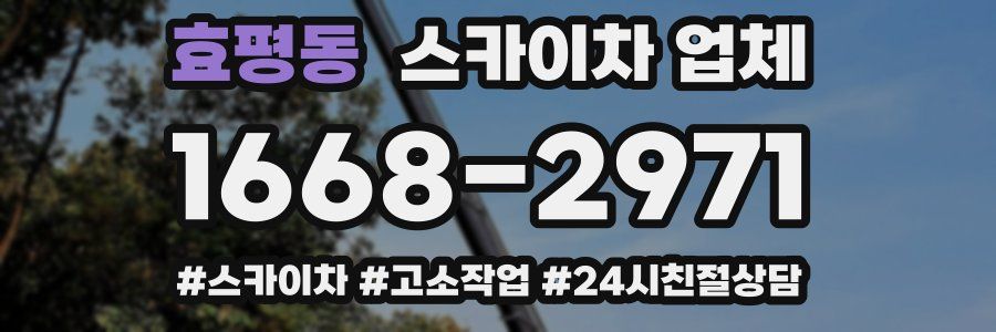 효평동 스카이차 업체