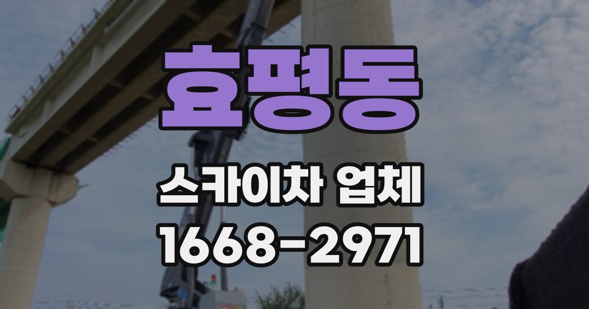 효평동 스카이차 업체