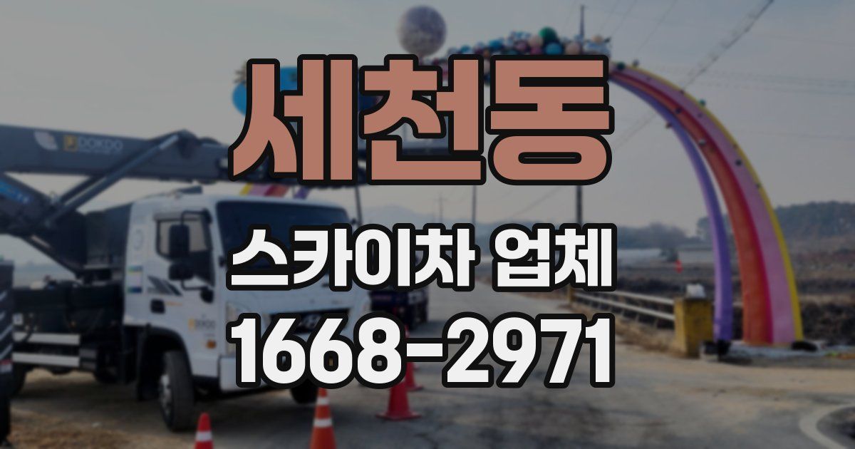 세천동 스카이차 업체