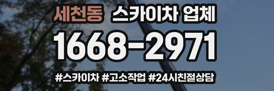 세천동 스카이차 업체
