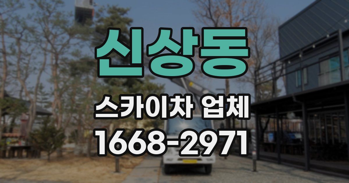 신상동 스카이차 업체