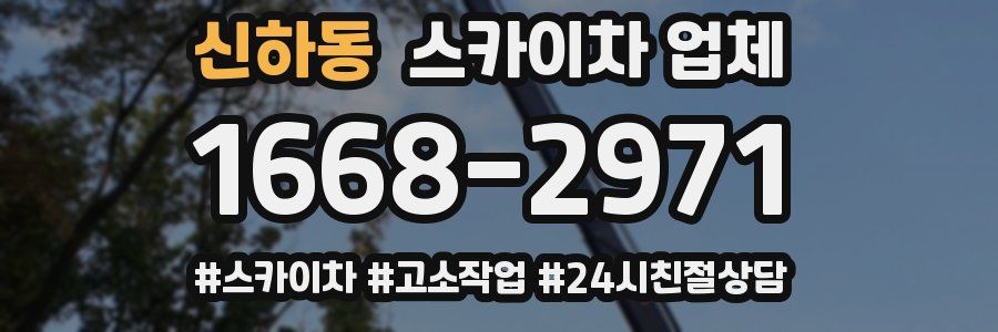 신하동 스카이차 업체