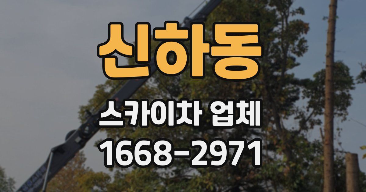 신하동 스카이차 업체