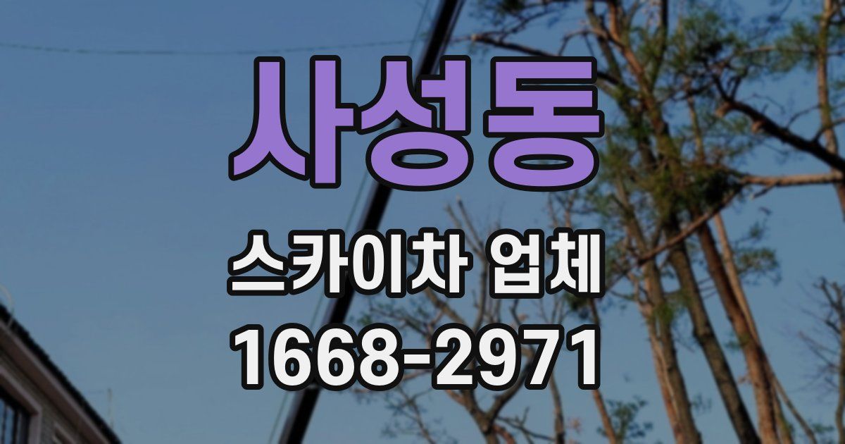 사성동 스카이차 업체