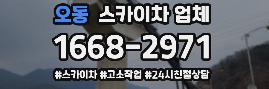 오동 스카이차 업체
