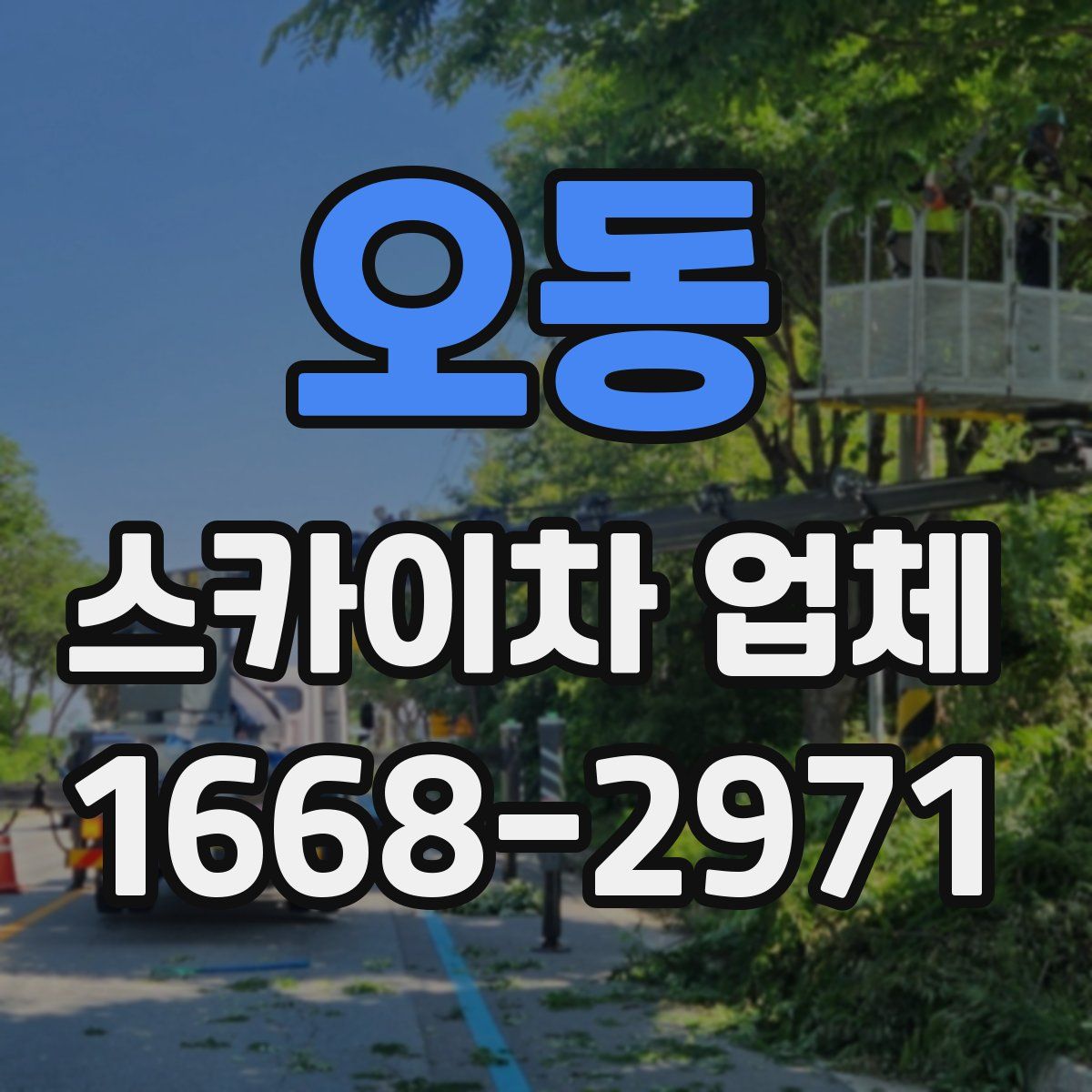 오동 스카이차 업체