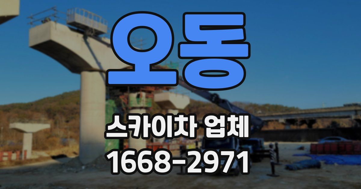 오동 스카이차 업체
