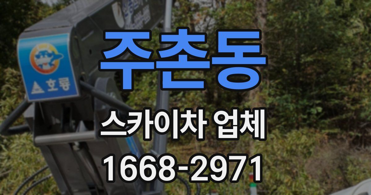 주촌동 스카이차 업체