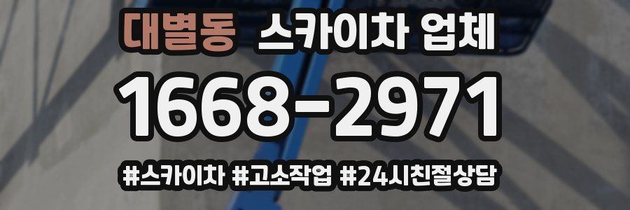대별동 스카이차 업체