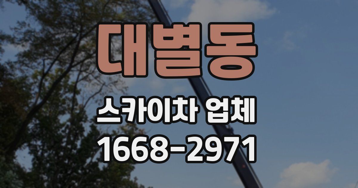 대별동 스카이차 업체