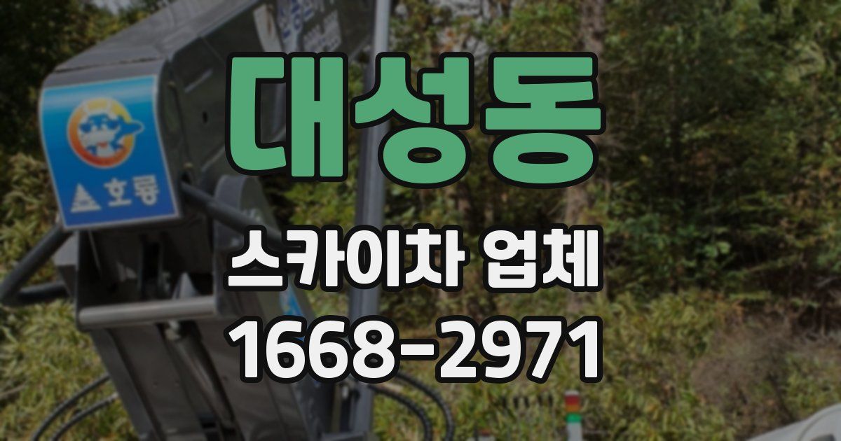 대성동 스카이차 업체