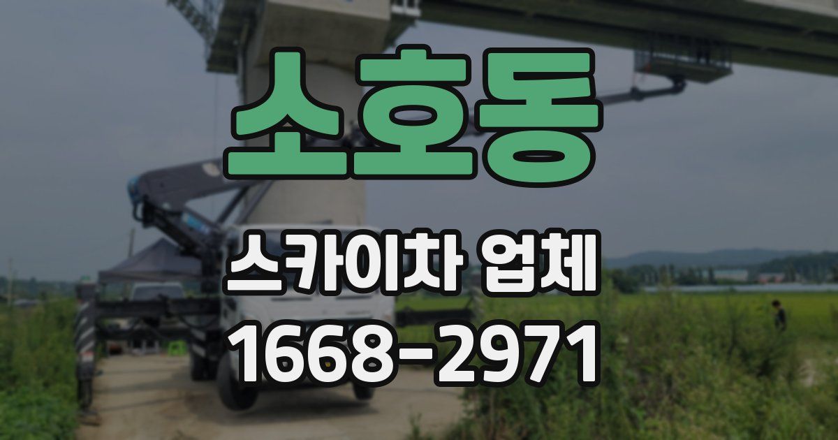 소호동 스카이차 업체