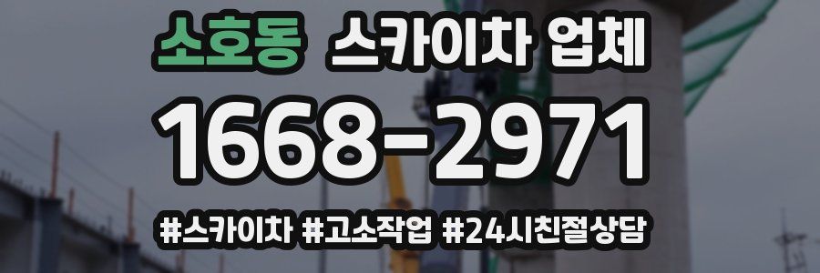 소호동 스카이차 업체