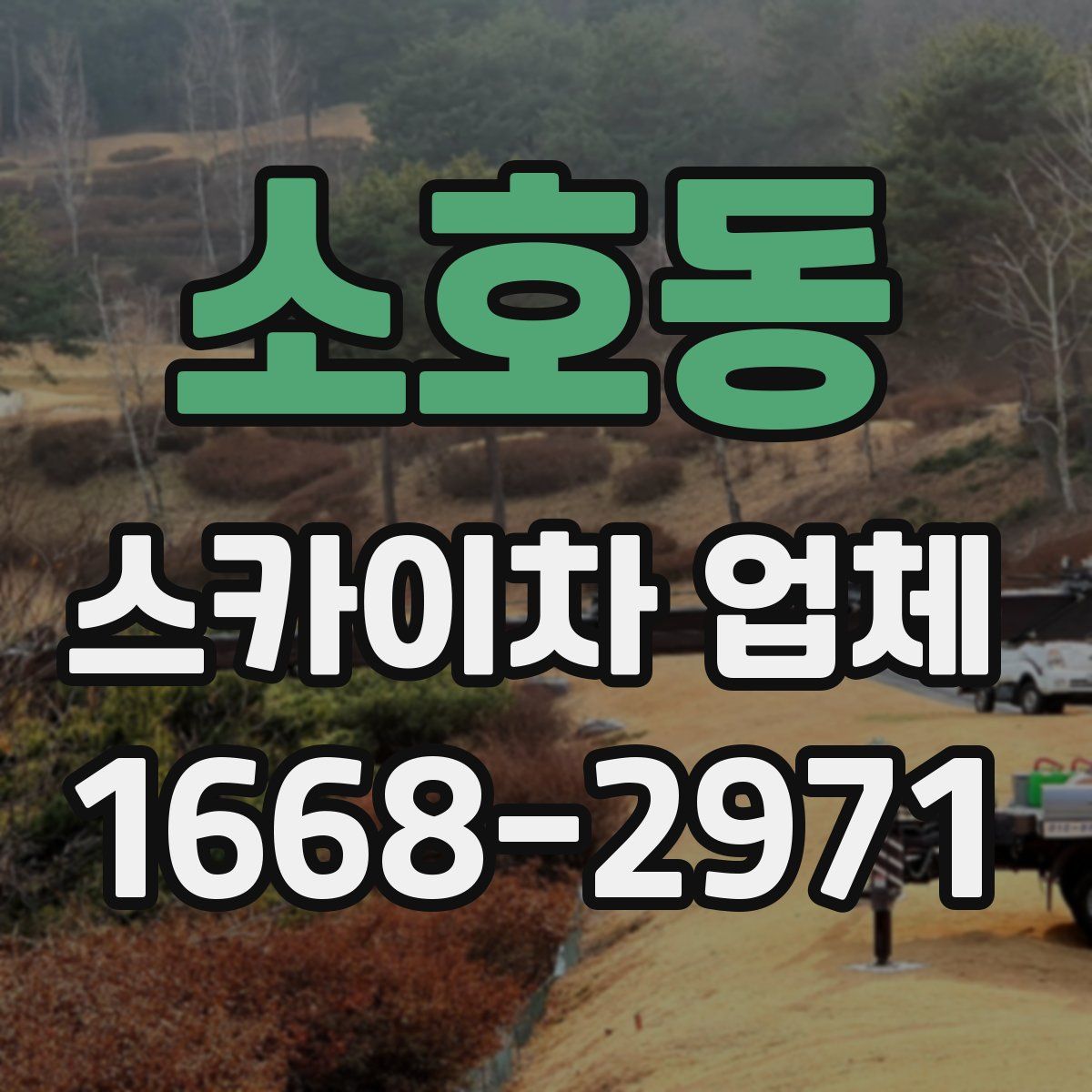 소호동 스카이차 업체