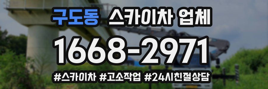 구도동 스카이차 업체