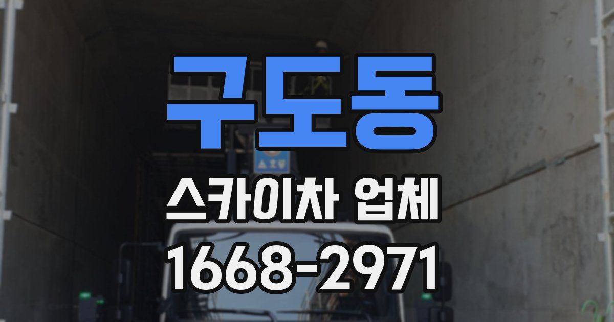 구도동 스카이차 업체