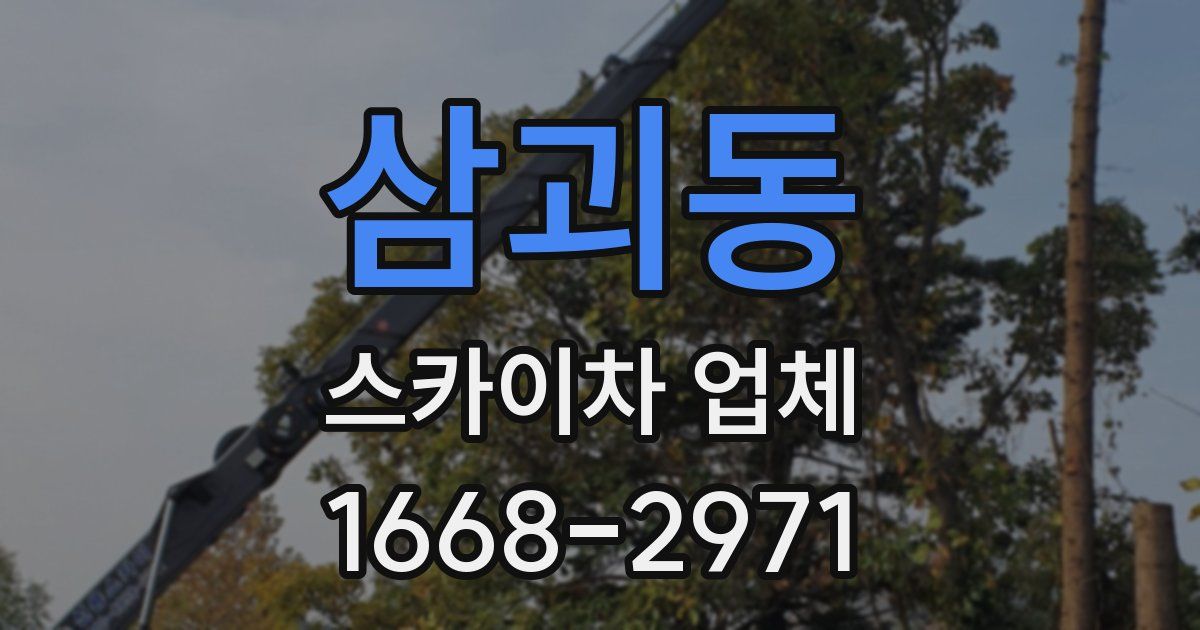 삼괴동 스카이차 업체