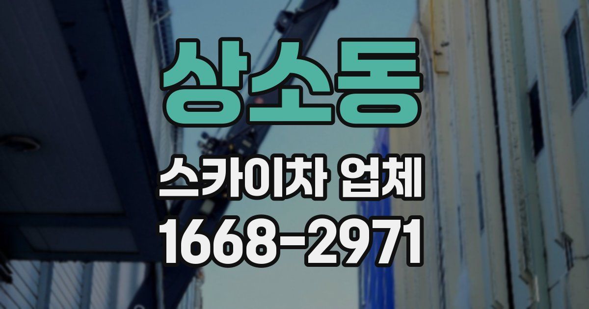 상소동 스카이차 업체