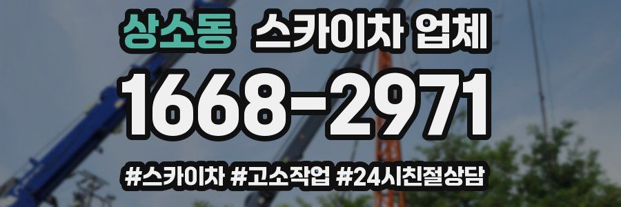 상소동 스카이차 업체