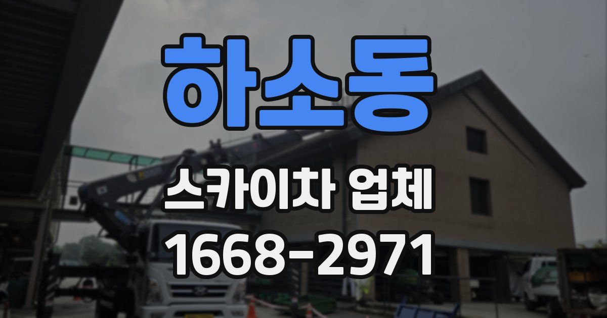 하소동 스카이차 업체